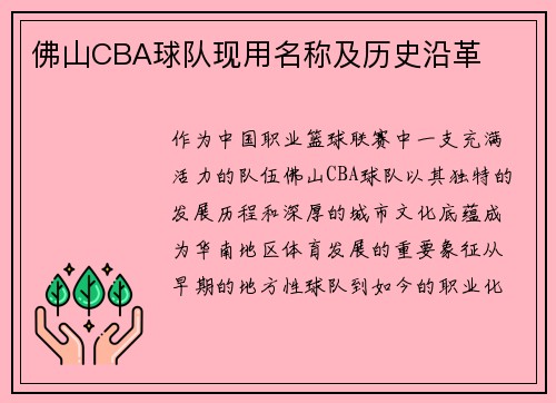 佛山CBA球队现用名称及历史沿革